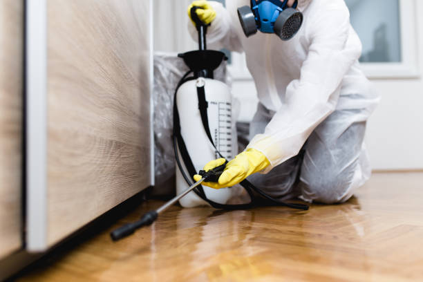 Pest Control for Restaurants in Swanton, OH