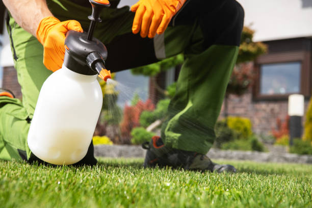 Bird Control in Swanton, OH