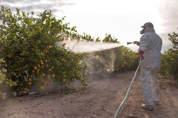 Best Pest Control Near Me  in Swanton, OH