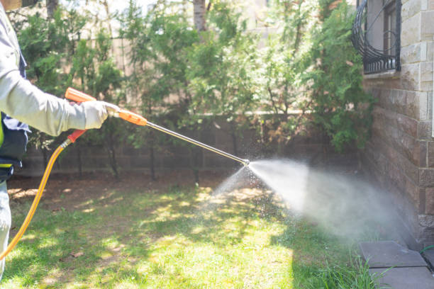 Best Exterminator Services  in Swanton, OH