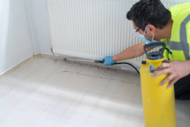 Best Best Pest Control Companies  in Swanton, OH