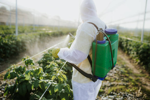 Best Pest Inspection Near Me  in Swanton, OH